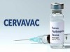 Indiaâ€™s first HPV vaccine against cervical cancer Launched