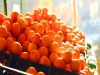 Orange Festival in Nagaland Concludes