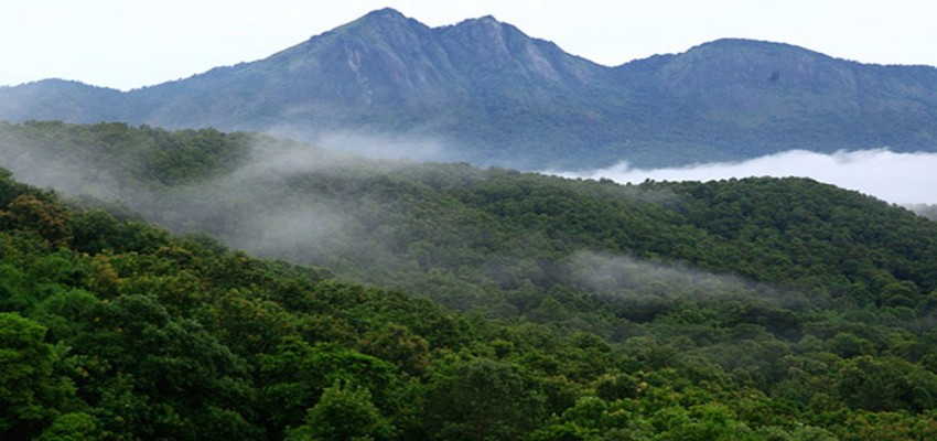 Birders discover 17 new species in Silent Valley